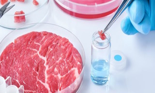Лабораторный анализ пищевых продуктов по СанПиН в Туймазы в октябре