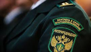 Подготовка к проверке Росприроднадзора в Туймазы от ПромМир-Тмз, стоимость услуги от 20380 руб.